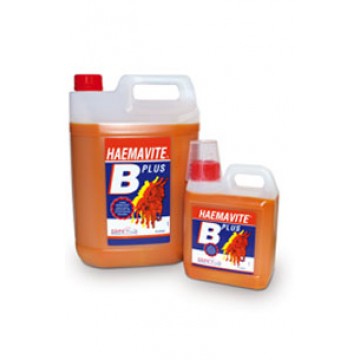 Equine Products Haemavite B Plus 1L